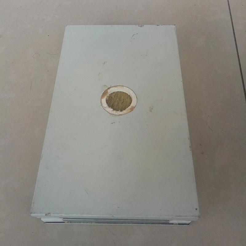 Panneaux de salle blanche faits à la main